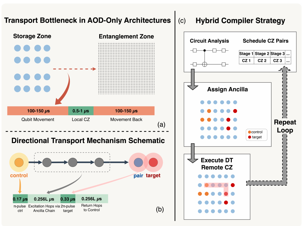 dac_directional_transport.png
